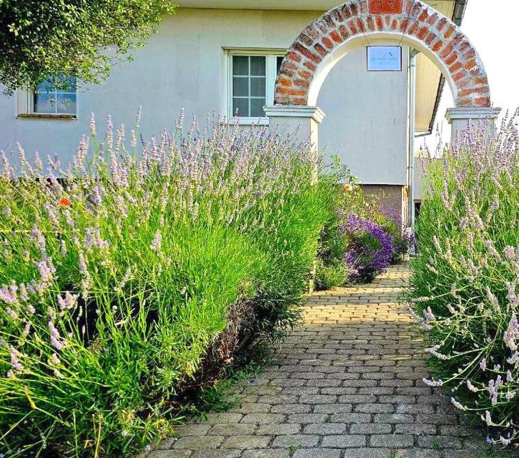 Dreamly Suites Oslip Dış mekan fotoğraf